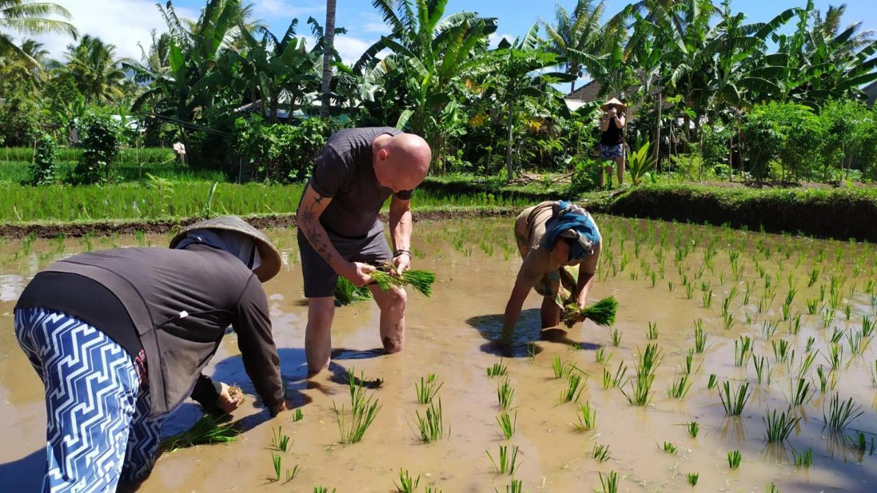 Bunga Maliq Bungalow Lombok Tetebatu Eksteriør bilde