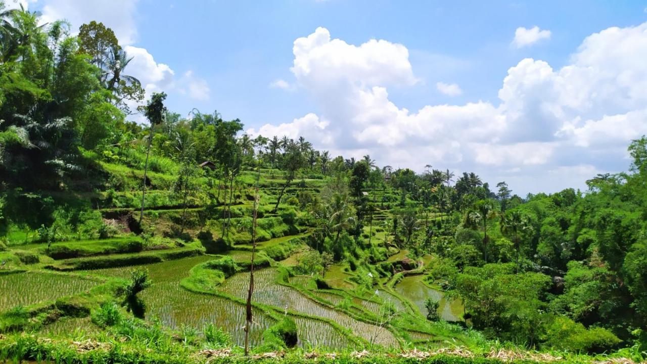 Bunga Maliq Bungalow Lombok Tetebatu Eksteriør bilde