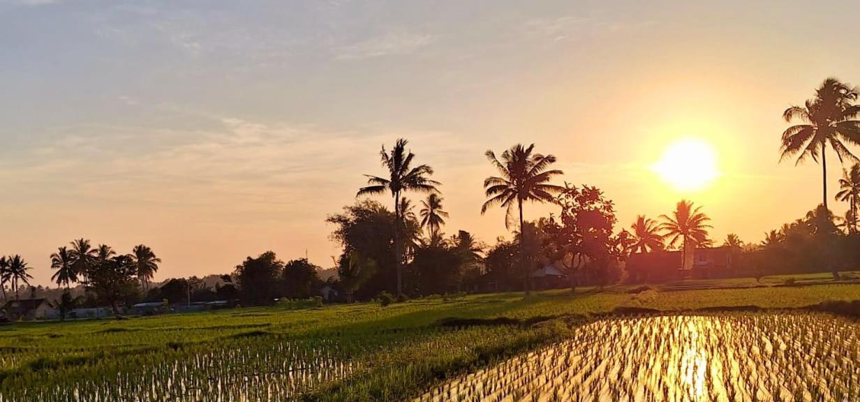 Bunga Maliq Bungalow Lombok Tetebatu Eksteriør bilde