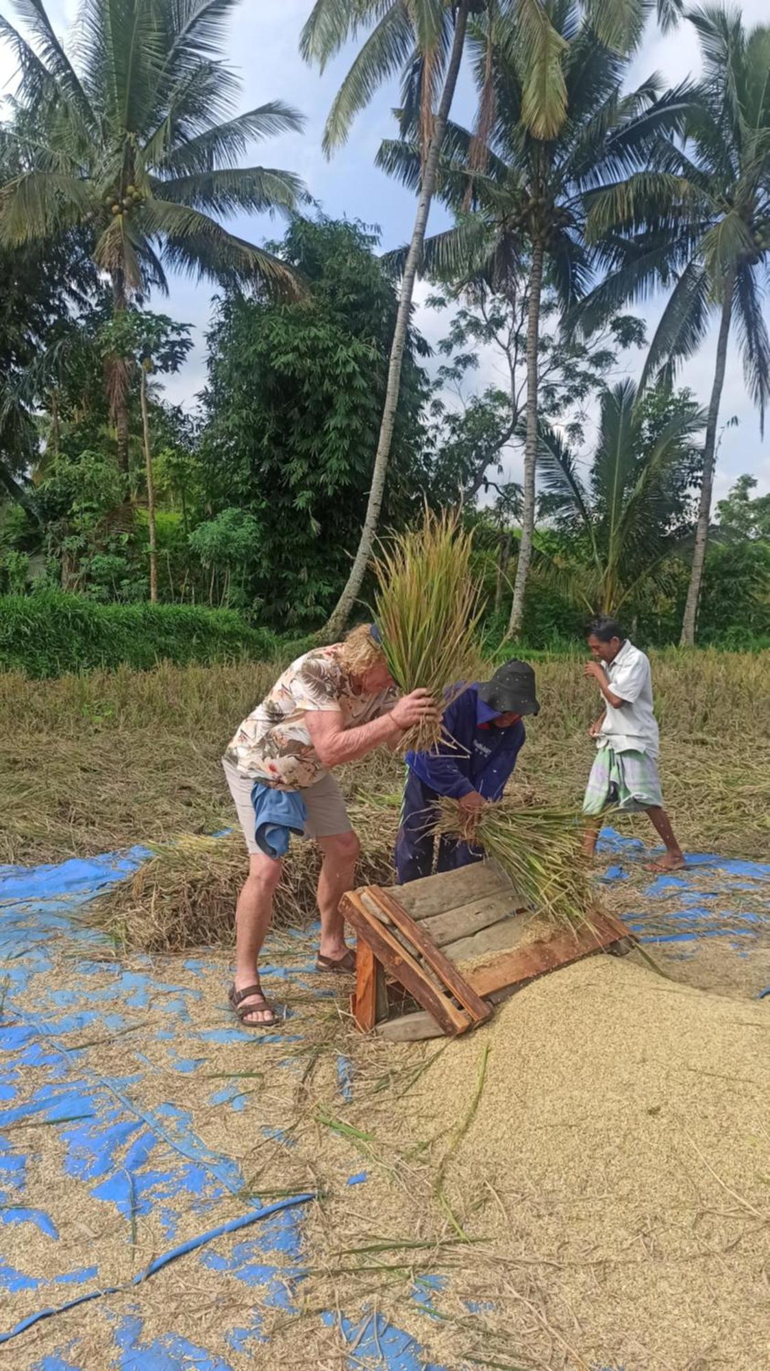 Bunga Maliq Bungalow Lombok Tetebatu Eksteriør bilde
