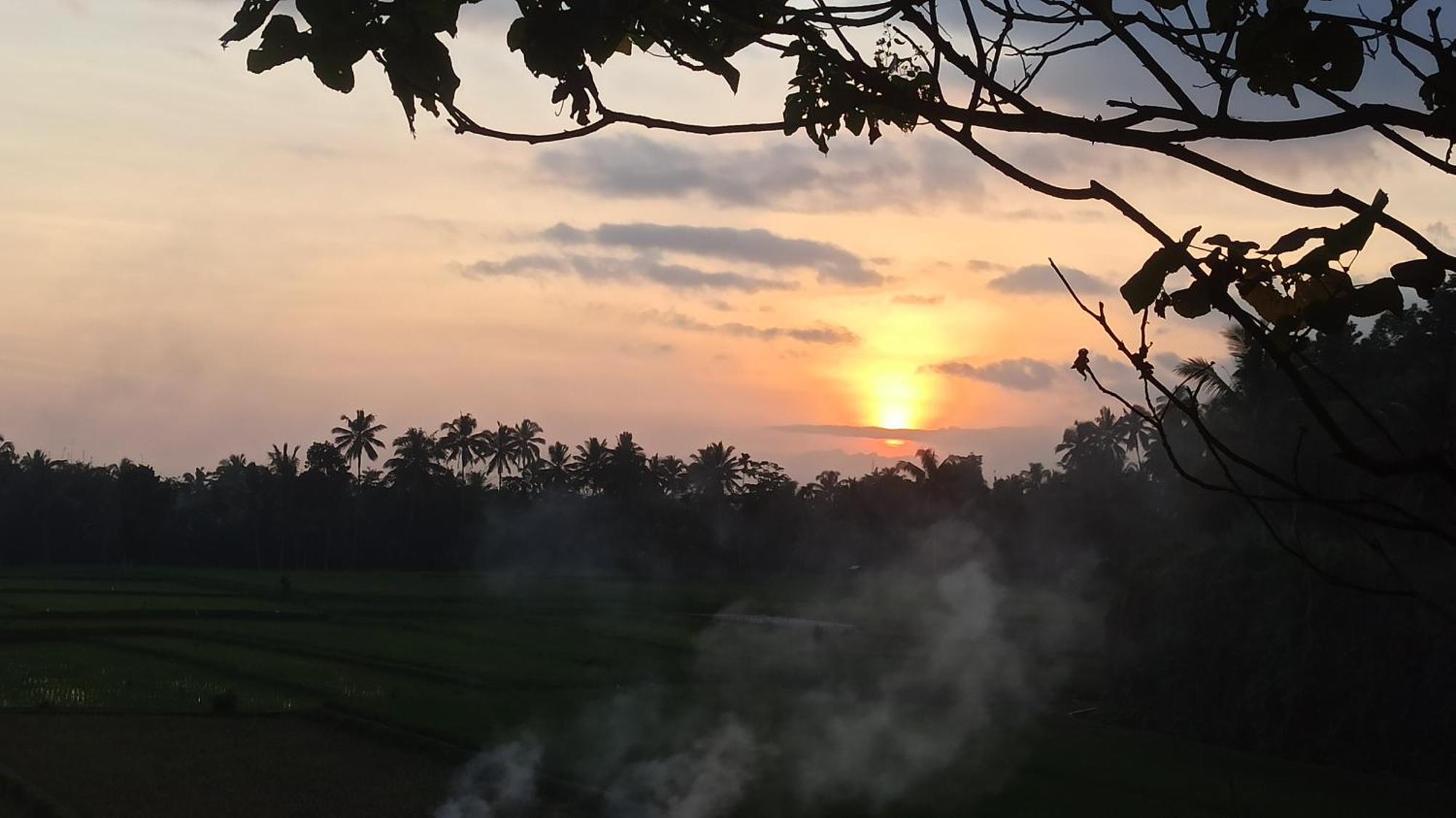 Bunga Maliq Bungalow Lombok Tetebatu Eksteriør bilde
