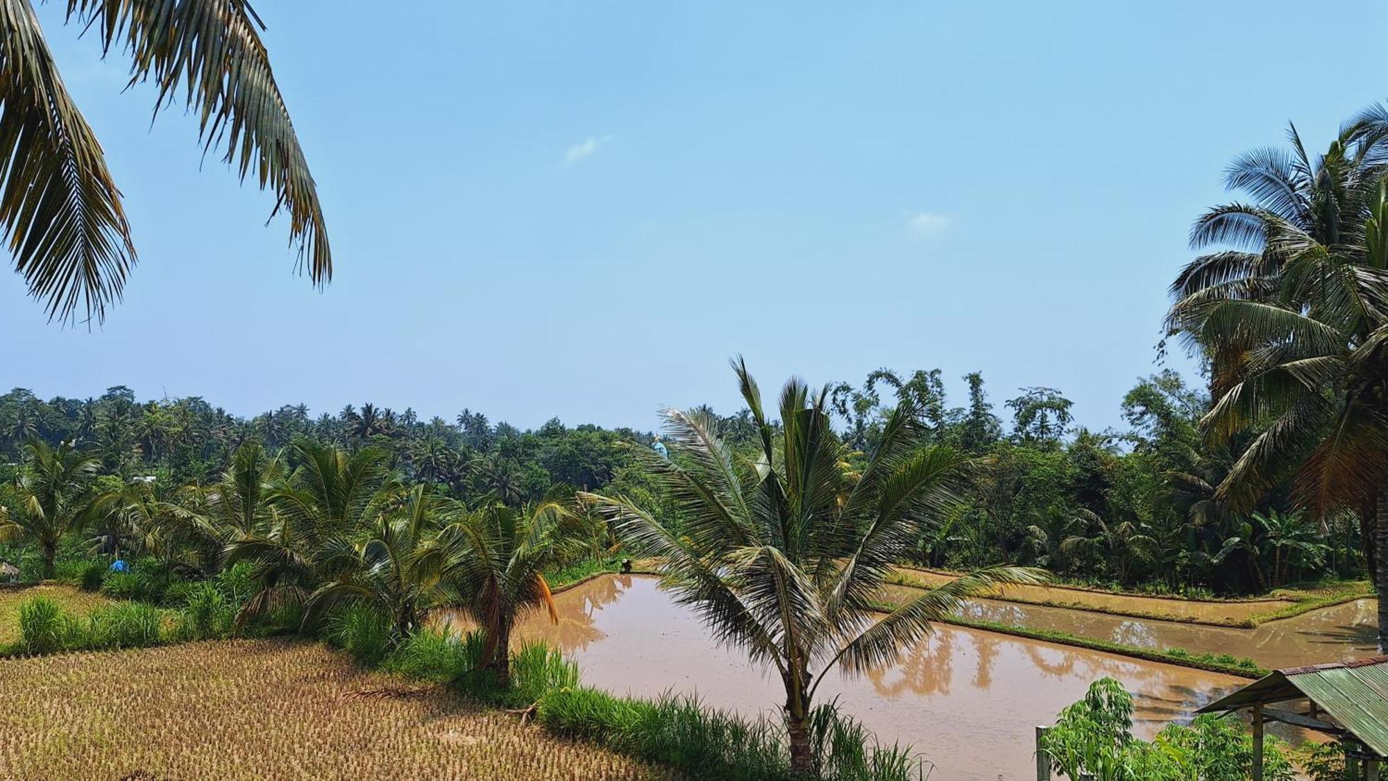 Bunga Maliq Bungalow Lombok Tetebatu Eksteriør bilde