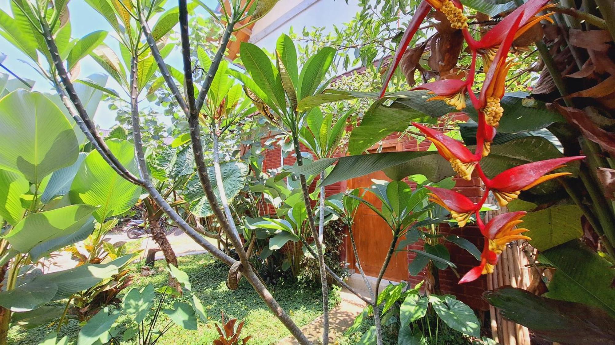 Bunga Maliq Bungalow Lombok Tetebatu Rom bilde